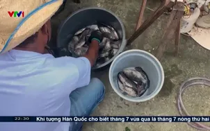 Màu xanh giữa khu ổ chuột