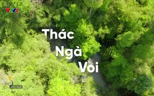 Thác Ngà voi