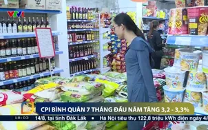 CPI bình quân 7 tháng đầu năm tăng 3,2 - 3,3%