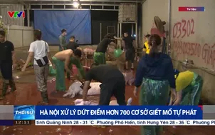 Hà Nội xử lý dứt điểm hơn 700 cơ sở giết mổ tự phát