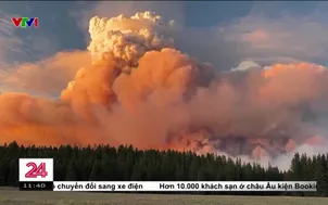 Mỹ: Cháy rừng lịch sử tại bang Arizona