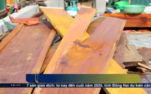 Nghệ An: Khó khăn tái định cư vì thiếu mặt bằng