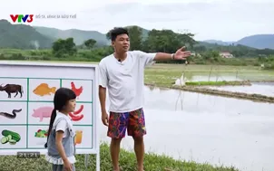 Bố ơi mình đi đâu thế - Tập 12: Bố con Neko Lê chiến thắng cuộc thi đòi hỏi sự ăn ý