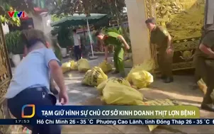 Tạm giữ hình sự chủ cơ sở kinh doanh thịt lợn bệnh