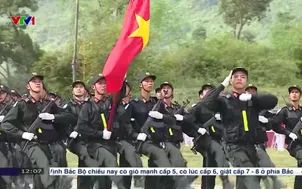 Tổng hợp luyện sẵn sàng cho đại lễ