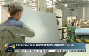 Thúc đẩy xuất khẩu, phát triển thương mại quốc tế hài hòa