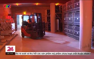 Các nhà sản xuất rượu vang châu Âu trước áp lực thuế từ Mỹ