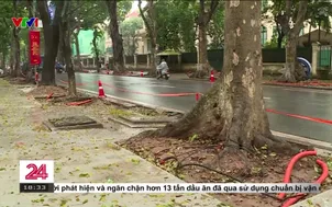 Hà Nội: Khẩn trương hoàn thành chỉnh trang Quảng trường Ba Đình