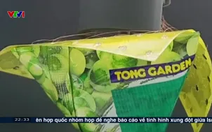 Robot mỏng như giấy