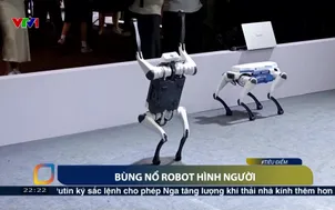 Bùng nổ Robot hình người