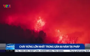 Cháy rừng lớn nhất trong gần 80 năm tại Pháp