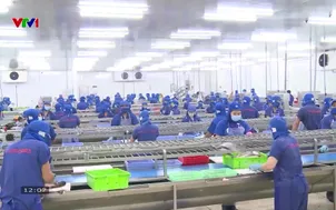 Ngành nông nghiệp tăng tốc xuất khẩu