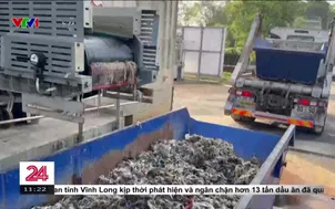 Pháp: Khăn ướt thành thảm họa môi trường