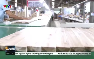 Phát triển rừng gỗ lớn nâng tầm chuỗi giá trị rừng trồng