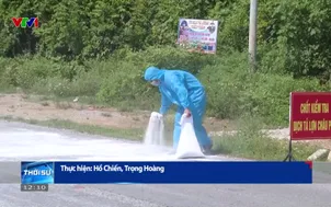 Quảng Trị nỗ lực phòng chống dịch tả lợn châu Phi