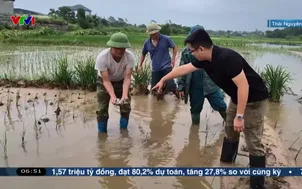 Bờ suối sạt lở, nước tràn vào cánh đồng