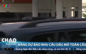 Nâng dự báo nhu cầu dầu mỏ toàn cầu