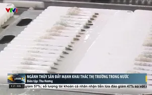 Ngành thủy sản đẩy mạnh khai thác thị trường trong nước