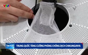 Trung Quốc tăng cường phòng chống dịch Chikungunya