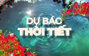 Bản tin thời tiết 9h10 - 15/8/2025