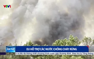 EU hỗ trợ các nước chống cháy rừng