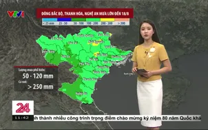 Bản tin thời tiết 11h30 - 16/8/2025