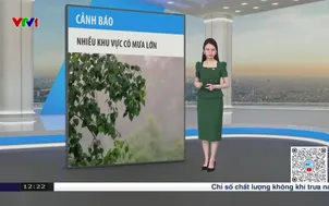 Bản tin thời tiết 12h30 - 16/8/2025
