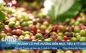 Ngành cà phê hướng đến mục tiêu 8 tỷ USD
