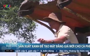 Sản xuất xanh để tạo mặt bằng giá mới cho cà phê