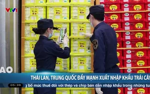 Thái Lan, Trung Quốc đẩy mạnh xuất nhập khẩu trái cây