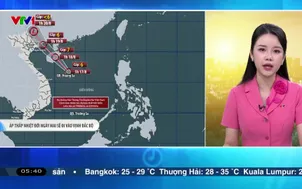 Bản tin thời tiết 5h30 - 17/8/2025