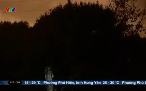 Cháy rừng diễn biến phức tạp tại Tây Ban Nha