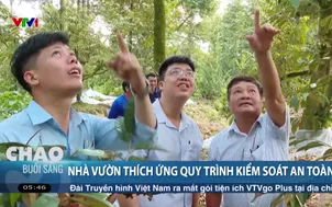Nhà vườn thích ứng quy trình kiểm soát an toàn