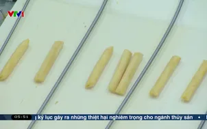 Tăng cường liên kết để xuất khẩu bền vững