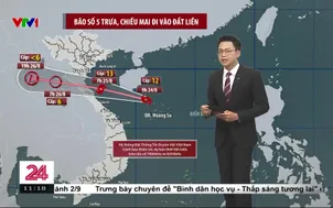 Bản tin thời tiết 11h30 - 24/8/2025