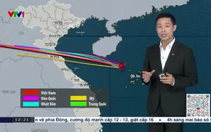 Bản tin thời tiết 12h30 - 24/8/2025
