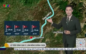 Bản tin thời tiết 19h45 - 06/9/2025
