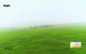 Vì cộng đồng - 06/9/2025