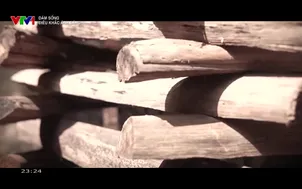 Dám sống: Điêu khắc ánh sáng