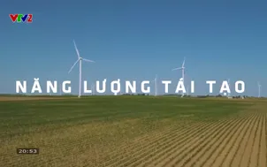 Môi trường và cuộc sống: Phòng, chống tội phạm đa dạng sinh học