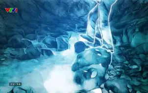 Dám sống: Người vượt bão