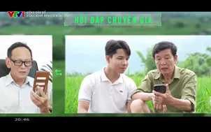 Công dân số - 19/9/2025