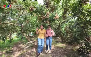 Bạn của nhà nông - 29/9/2025