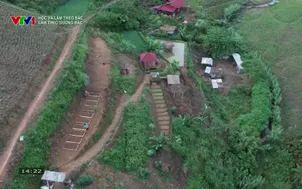 	Học và làm theo Bác: 	Làm theo gương Bác