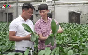 Sách hay thay đổi cuộc đời - 04/10/2025