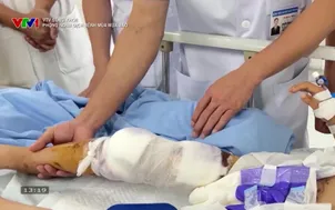 VTV Sống khỏe: Phòng ngừa dịch bệnh mùa mưa bão