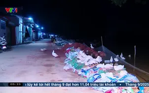 Bắc Ninh: Bảo vệ đê sông trong đêm