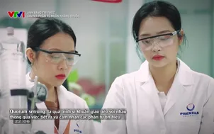 Ánh sáng tri thức: Giải mã phân tử ngăn kháng thuốc