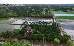 Môi trường và cuộc sống: Xử lý rác thải nông thôn mới