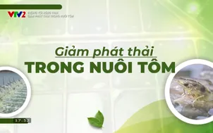 Đường tới nông trại: Giảm phát thải trong nuôi tôm